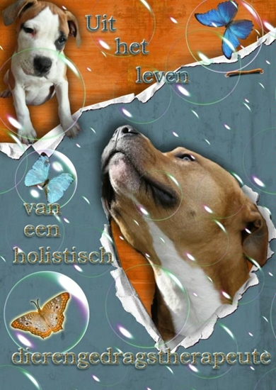 Afbeelding van Uit het leven van een holistisch dierengedragstherapeute