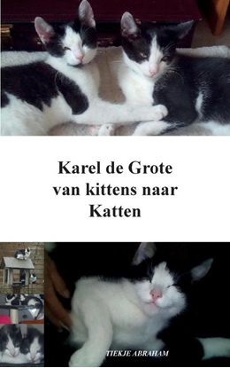 Afbeeldingen van Karel de Grote