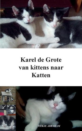 Afbeelding van Karel de Grote