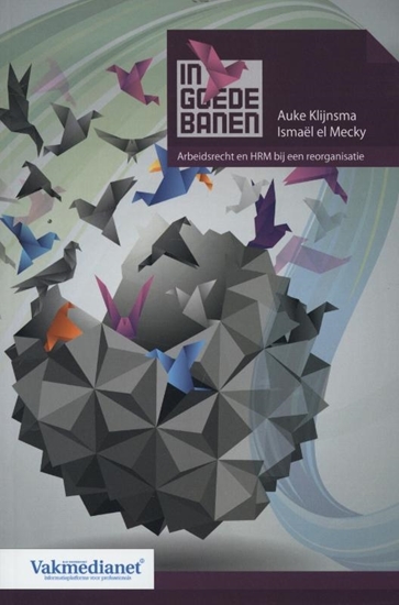 Afbeelding van In goede banen