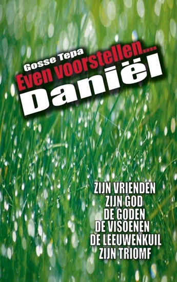 Afbeelding van Daniel