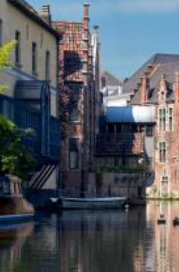 Afbeelding van Het vervolg van het verhaal van de familie Kooilands