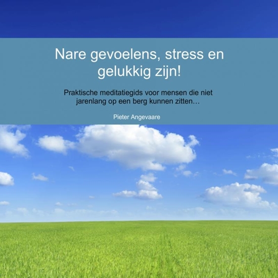 Afbeelding van Nare gevoelens, stress en gelukkig zijn!