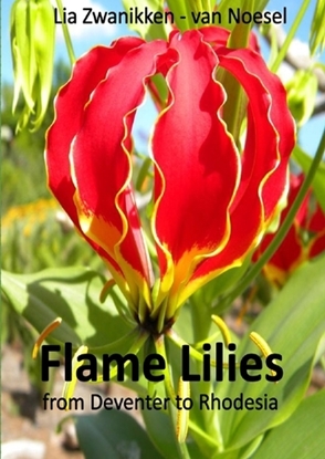 Afbeeldingen van Flame Lilies