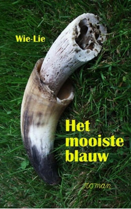 Afbeeldingen van Het mooiste blauw