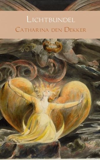 Afbeelding van Lichtbundel