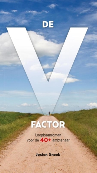 Afbeelding van De V-factor