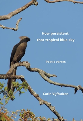 Afbeeldingen van How persistent, that tropical blue sky
