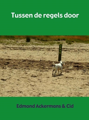 Afbeeldingen van Tussen de regels door