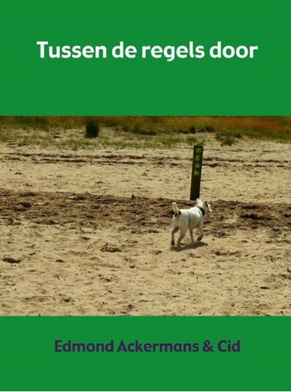Afbeelding van Tussen de regels door