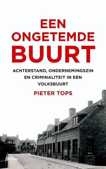 Afbeelding van Een ongetemde buurt