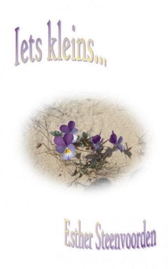 Afbeelding van Iets kleins