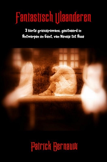Afbeelding van Fantastisch Vlaanderen