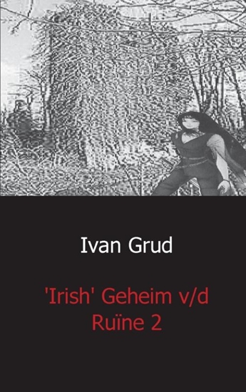 Afbeelding van Irish het geheim v/d ruine 2