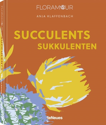 Afbeeldingen van Succulents