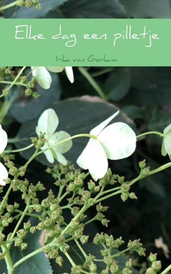 Afbeelding van Elke dag een pilletje