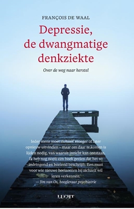 Afbeeldingen van Depressie, de dwangmatige denkziekte