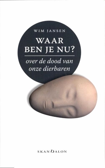 Afbeelding van Waar ben je nu?