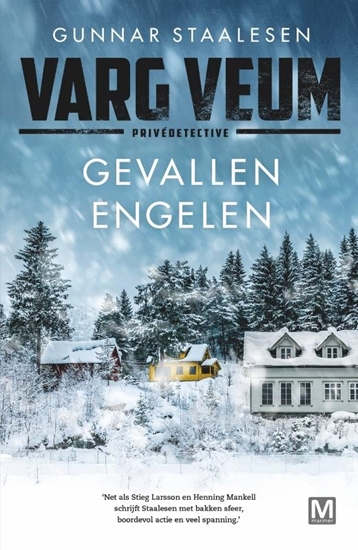 Afbeelding van Varg Veum Gevallen engelen