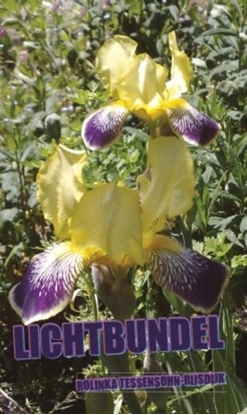 Afbeeldingen van Lichtbundel