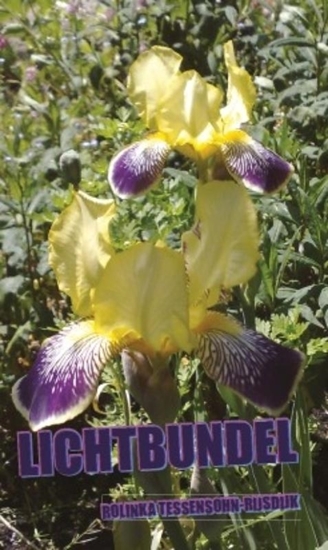 Afbeelding van Lichtbundel