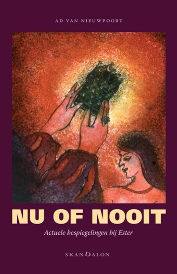 Afbeelding van Nu of nooit
