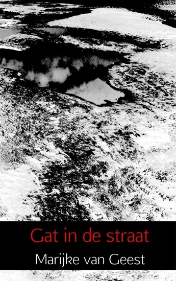 Afbeelding van Gat in de straat