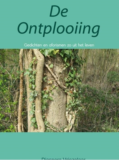 Afbeelding van De ontplooiing