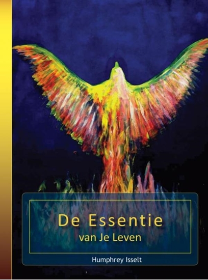 Afbeelding van Brein in Balans De essentie van je leven