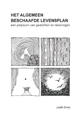 Afbeeldingen van HET ALGEMEEN BESCHAAFDE LEVENSPLAN