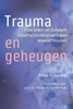 Afbeelding van Trauma en geheugen