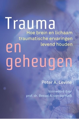 Afbeeldingen van Trauma en geheugen