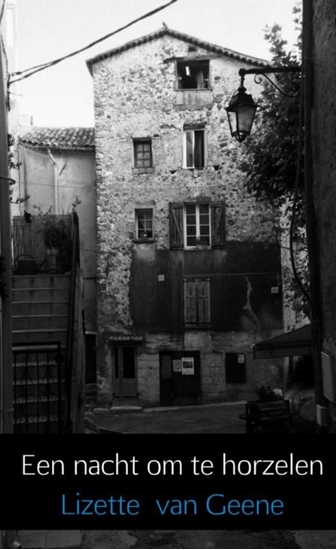 Afbeelding van Een nacht om te horzelen