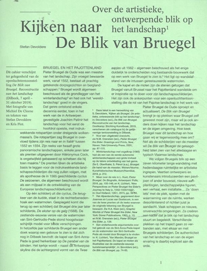 Afbeelding van Kijken naar de Blik van Bruegel