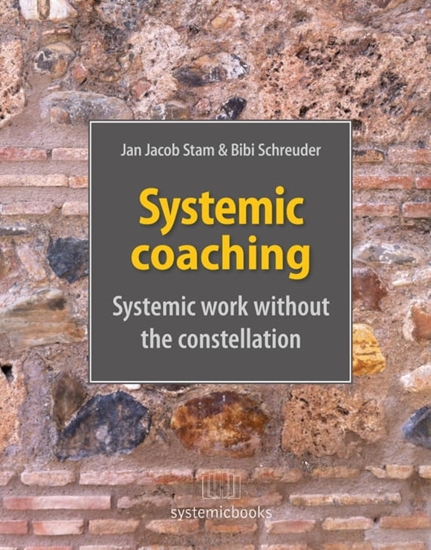 Afbeelding van Systemic coaching