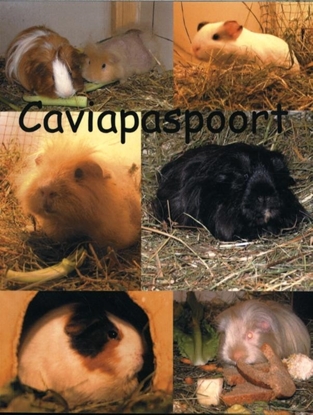 Afbeeldingen van Caviapaspoort