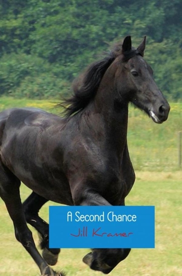 Afbeelding van A Second Chance