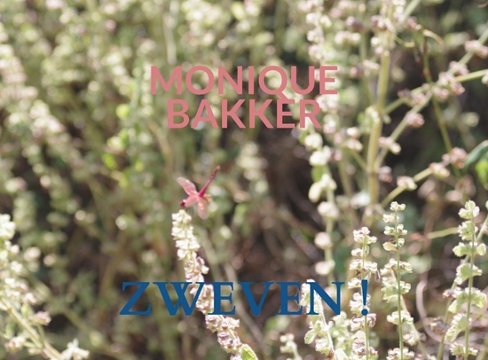 Afbeelding van Zweven !