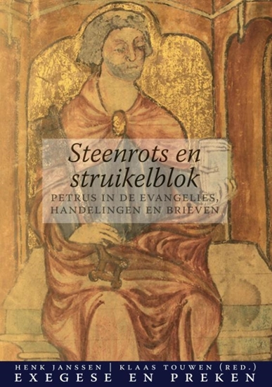 Afbeelding van Steenrots en struikelblok