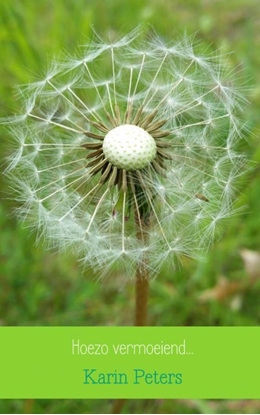 Afbeeldingen van Hoezo vermoeiend...