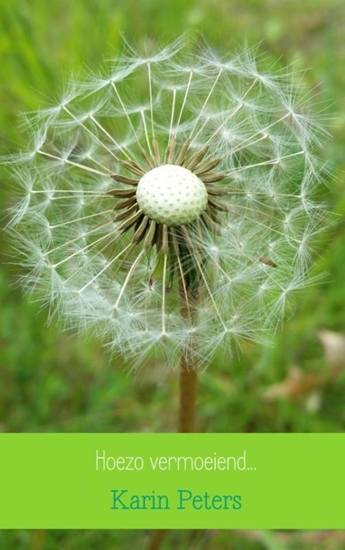 Afbeelding van Hoezo vermoeiend...