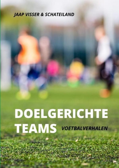 Afbeelding van Doelgerichte teams