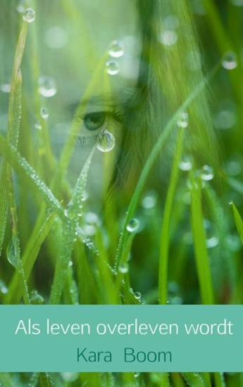 Afbeelding van Als leven overleven wordt