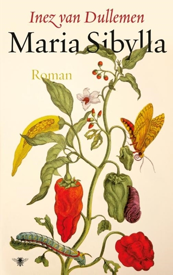 Afbeelding van Maria Sibylla