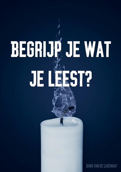 Afbeelding van Begrijp je wat je leest?