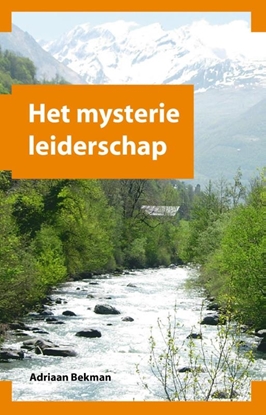 Afbeeldingen van Het mysterie leiderschap