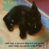 Afbeelding van I'm Leo, a service dog in a cat jacket, and I'm helping my owner with PTSD