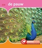 Afbeelding van De Kijkdoos de pauw