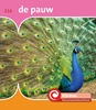 Afbeelding van De Kijkdoos de pauw