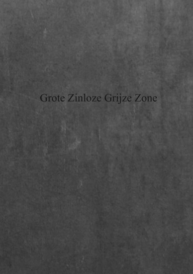 Afbeelding van Grote zinloze grijze zone